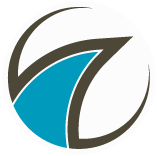 логотип институт автоматизации